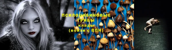 PSILOCYBIN Кинешма