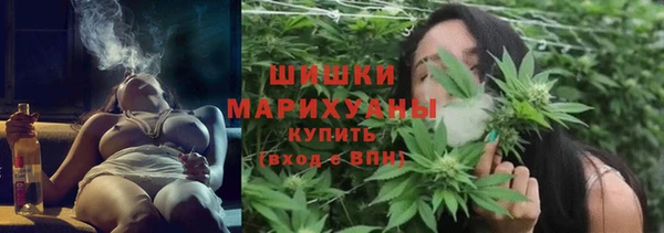 PSILOCYBIN Кинешма