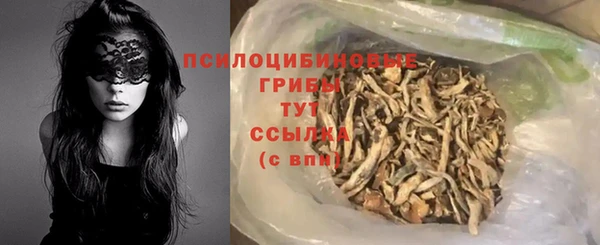 PSILOCYBIN Кинешма