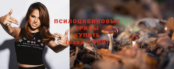 PSILOCYBIN Кинешма