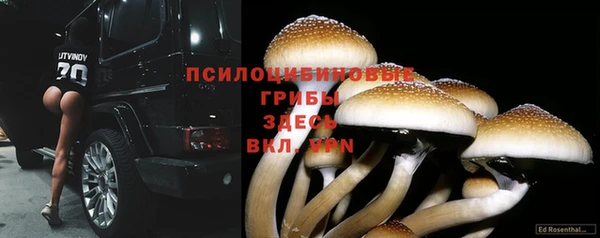 PSILOCYBIN Кинешма