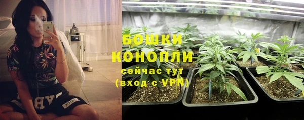 не бодяженный Киренск