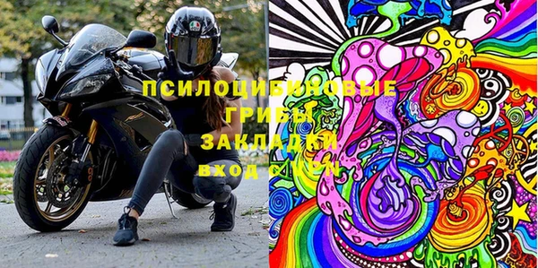 PSILOCYBIN Кинешма