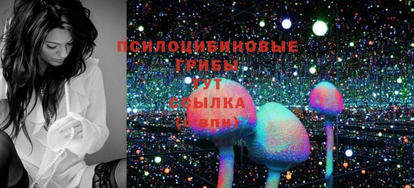 PSILOCYBIN Кинешма