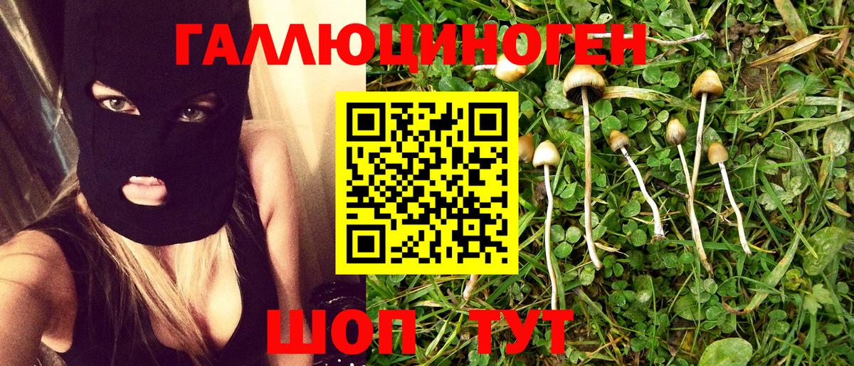 Псилоцибиновые грибы Psilocybine cubensis Урай
